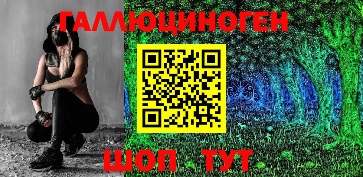 Искитим  Псилоцибиновые грибы Psilocybe  Псилоцибиновые грибы мухоморы  Вход с VPN 