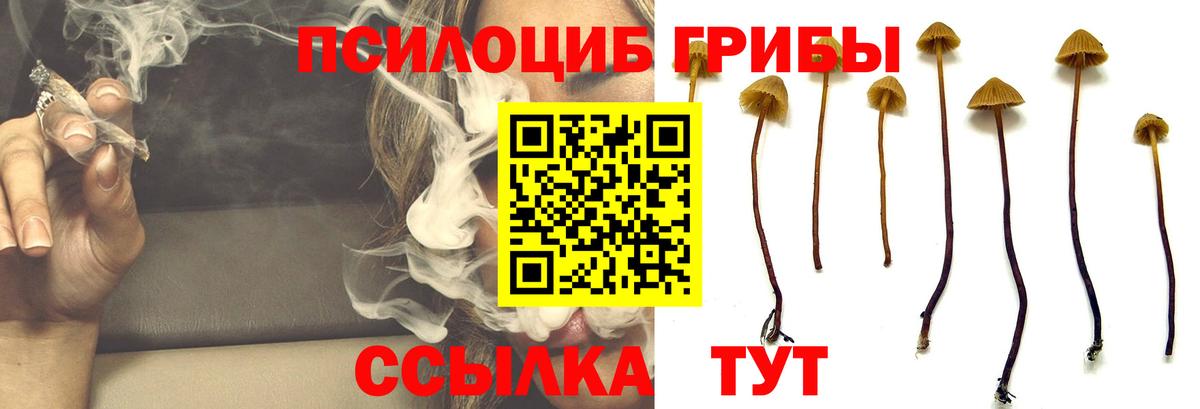 Псилоцибиновые грибы ЛСД Искитим